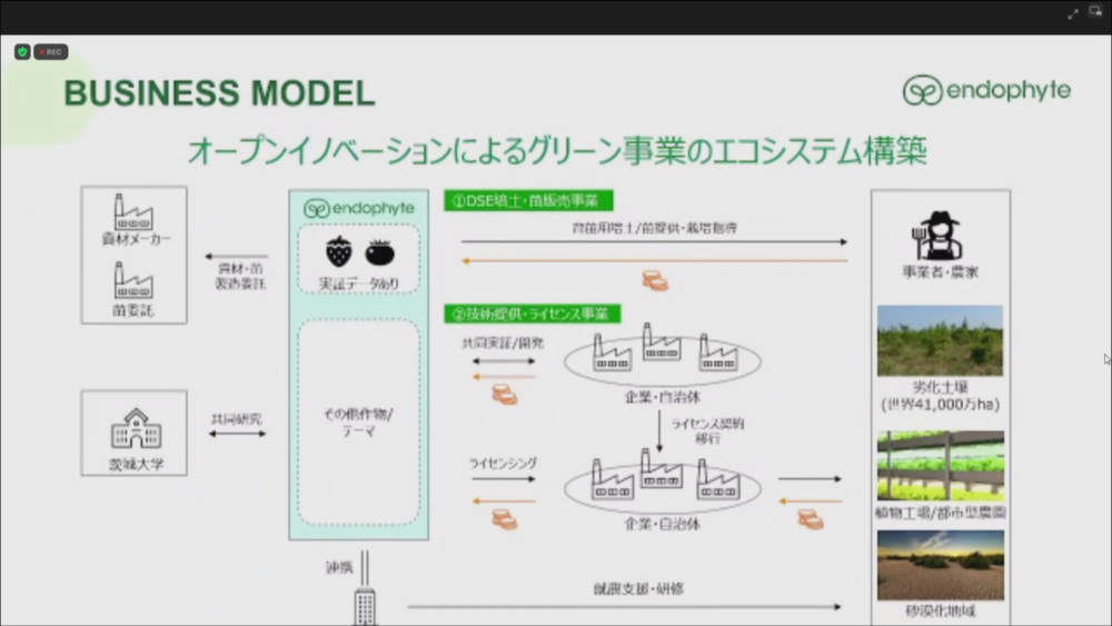 DSEのビジネスモデル
